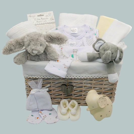 Deluxe Unisex Baby Gift Basket