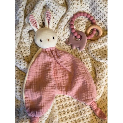 Organic Baby Girl Gift Hamper - Luxury Newborn Eco-Friendly Baby Set