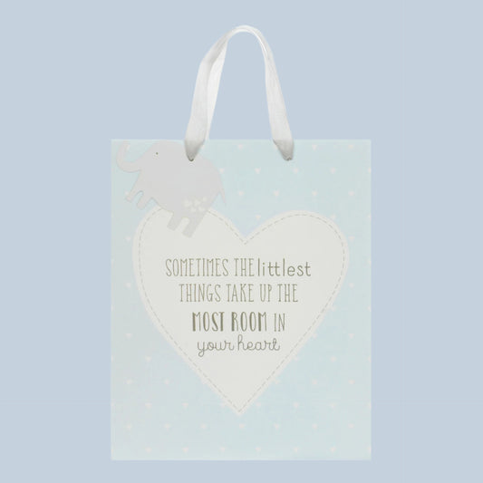 Large pale blue baby gift bag with white polka dots and the text 'Sometimes the littlest things take up the most room in your heart' and elephant gift tag